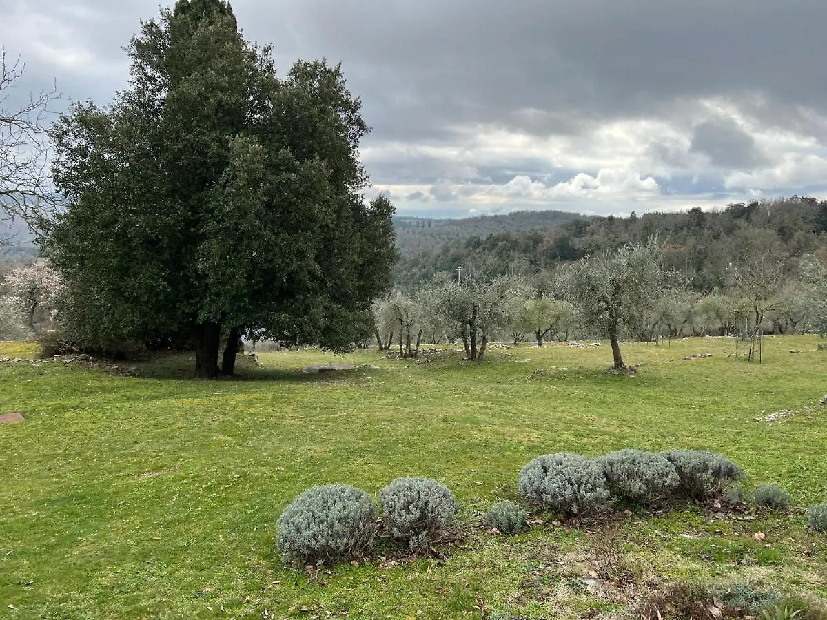 Casa Vanina In Toscana Castellina in Chianti Italy